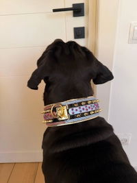 The Candy Dog Collar Black