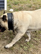 Lynn review photo