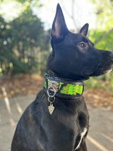 Tasha review photo