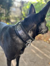 Tasha review photo