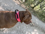Brigitte P. review photo