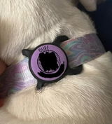 Lexi H. review photo