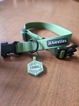 Ghibli review photo