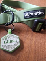Ghibli review photo