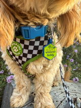 @teddy_theweeniepoo &.M. review photo