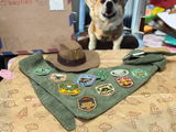 @dasherdoodlesthecorgi review photo