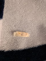 Marc review photo