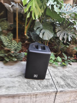 Kelvin review photo