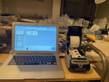 p.O. review photo