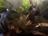 K.E. review photo