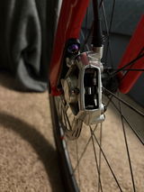Matt J. review photo