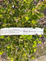 PDX gardener review photo