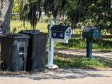 Electa review photo