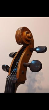 PaoloM review photo