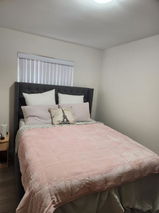 Rose review photo