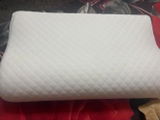 Renu review photo