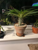 Sam Elliot review photo