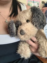 Shimmers - 8” to 10” Puppy (Soft Shiny Silver Thread Plushies)
