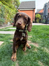 Elinor review photo