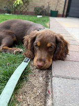 Elinor review photo