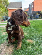Elinor review photo