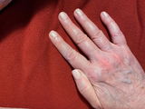 Diane H. review photo