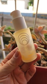 Gilvana review photo