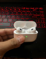 Ganesh review photo