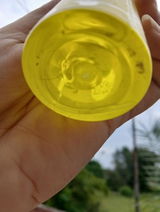 Bushra review photo
