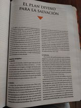 Anónimo review photo