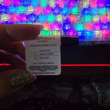 Seffie review photo