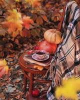О.Т. review photo