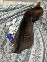 Оксана review photo