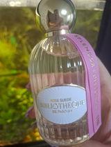 Олена review photo
