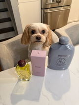 Remi review photo