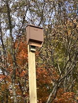 William R. review photo
