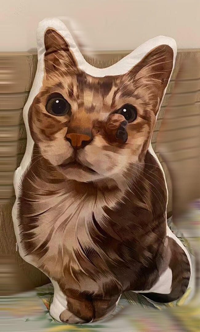 【客製化禮物】3D立體Cushion 咕