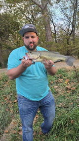 Mark hirschman review photo