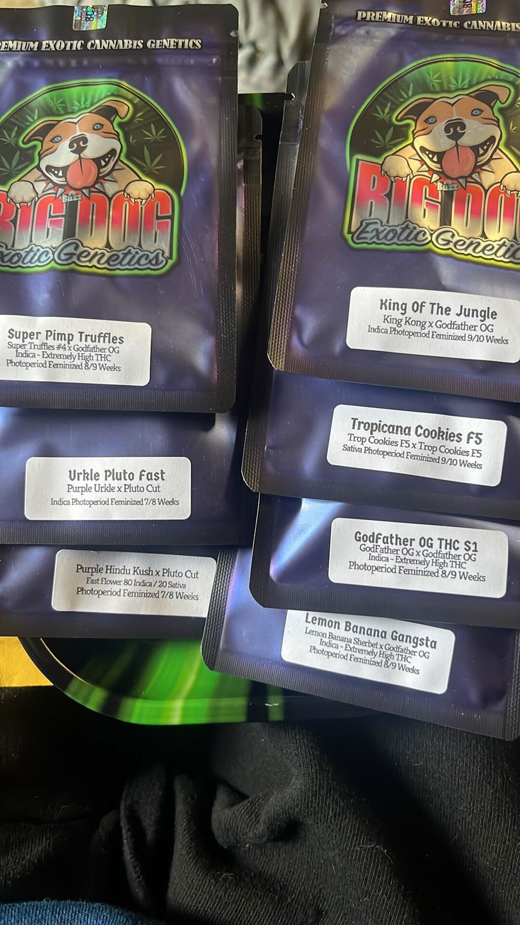 Big Dog Novelties