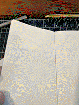 Z.C. review photo