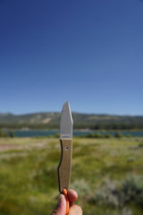 Bdog review photo