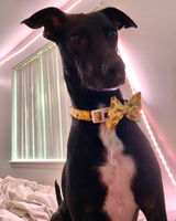 Angela F. review photo