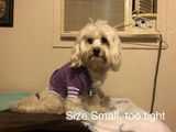 Krissy W. review photo