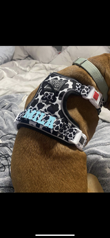 Riley S. review photo