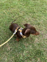 Keely C. review photo