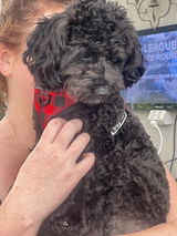 Veronica B. review photo