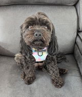 Narelle S. review photo