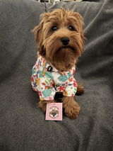Abby review photo