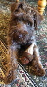 Mary E. review photo