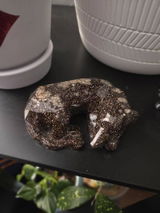 Hannah Spottsville review photo